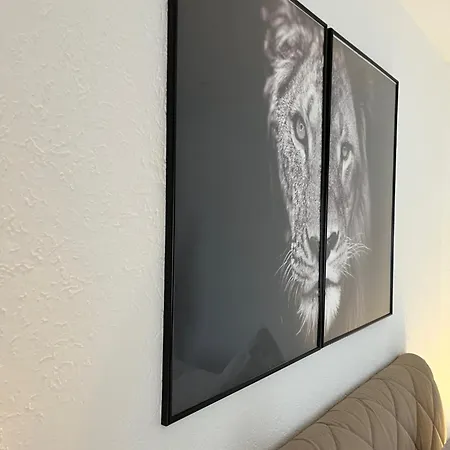 Apartamento Gemuetliche In I Sauna I Blick Silberberg