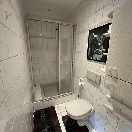 Gemuetliche In I Sauna I Blick Silberberg Apartamento *