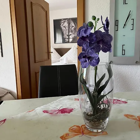 Apartamento Gemuetliche In I Sauna I Blick Silberberg *