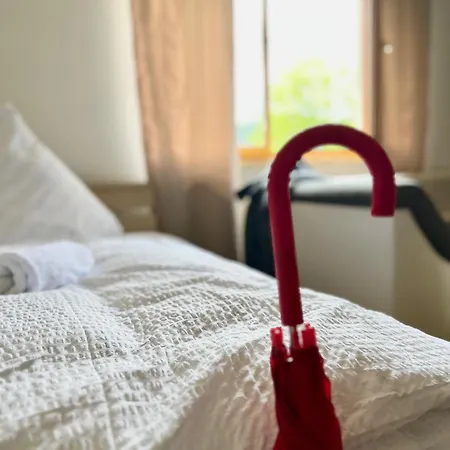 Gemuetliche In I Sauna I Blick Silberberg Bodenmais