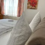 Apartamento Gemuetliche In I Sauna I Balkon I Blick Silberberg