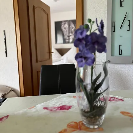 Gemuetliche In I Sauna I Blick Silberberg Appartamento Bodenmais