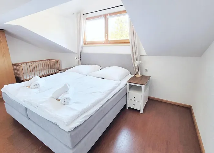 Gemuetliche In I Sauna I Balkon I Blick Silberberg 보덴마이스